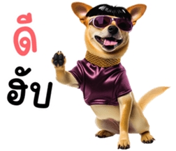 639332508