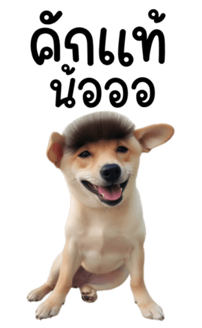 639332575