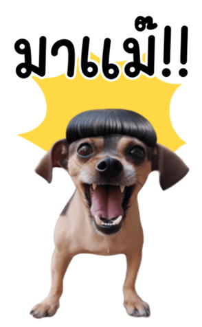 639332586