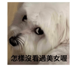 639338164