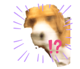 639340960