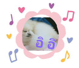 639342435