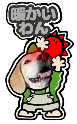 639344803