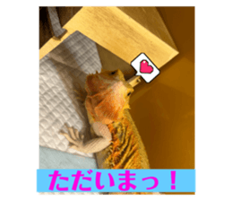 639358216