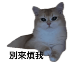 639408617