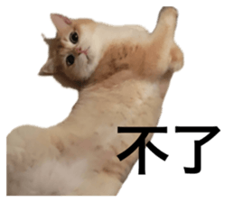 639408632