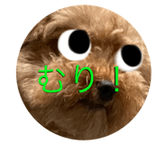 639417701