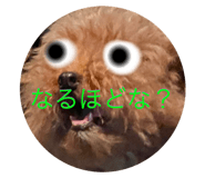 639417704