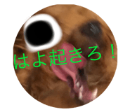 639417709