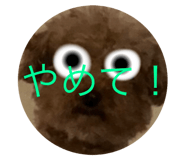 639417711