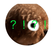 639417712
