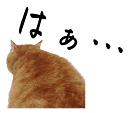 639456915