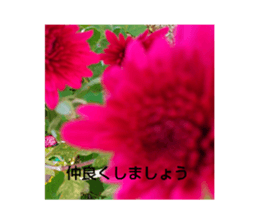 639458516