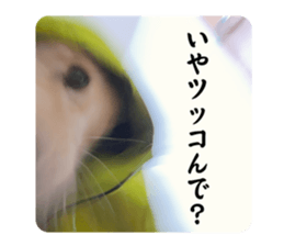 639465490