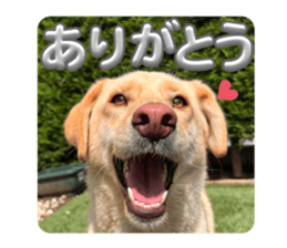 639465491