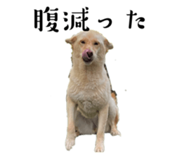 639465499