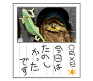 639476415