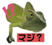 639476425