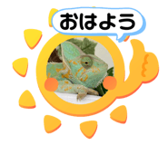 639476437
