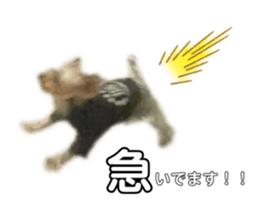 639528266