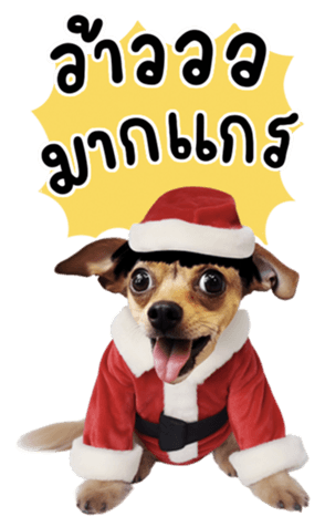 639616949