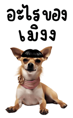 639616959