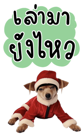 639616962