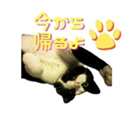 639665069