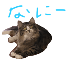 639666121