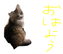 639666137