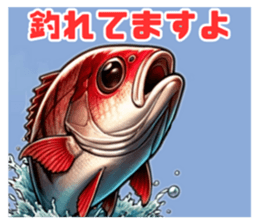 639674880