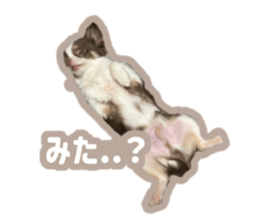 639676544