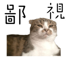 639698445