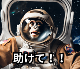 639716338