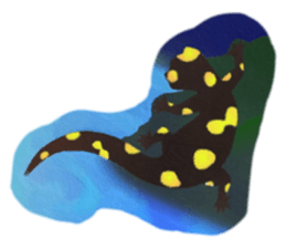 639719645
