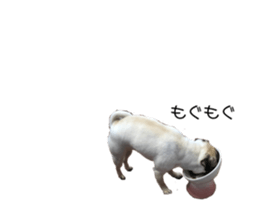 639723396