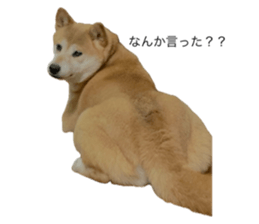 639734112