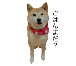 639734117