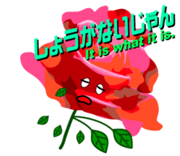6397675