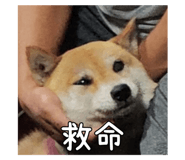 639815238
