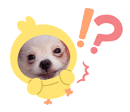 639828539