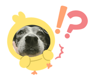 639836212