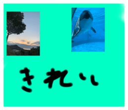 639853037