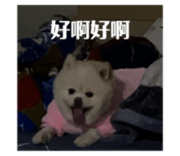 639883424