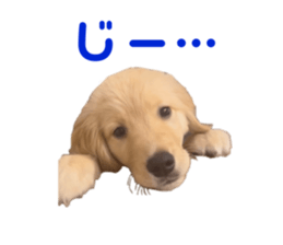 639942064