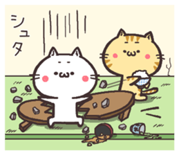 6399455