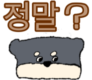 639947605