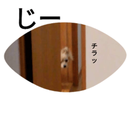 639953675
