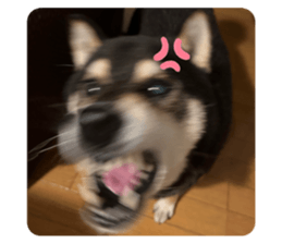 639990540
