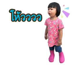 64003634